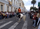 Cacería del Zorro 2009