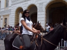 Cacería del Zorro 2009