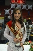 Elección Reina de Ibarra 2012