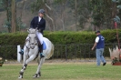 Campeonato Hípico 