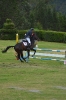 Campeonato Hípico 