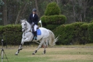 Campeonato Hípico 