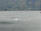 Deportes Extremos