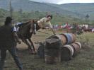 Deportes Extremos