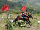 Galope Campero 