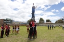 Linfogoles por la vida 2013