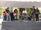 Feria de Investigación