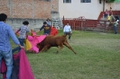 Fiesta ECAA 2014
